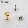 3D PET DOG CAT PAW THREADLESS PUSH IN ASTM F136 IMPLANT GRADE TITANIUM LABRET SET
